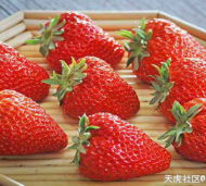 草莓有哪些功效和作用？